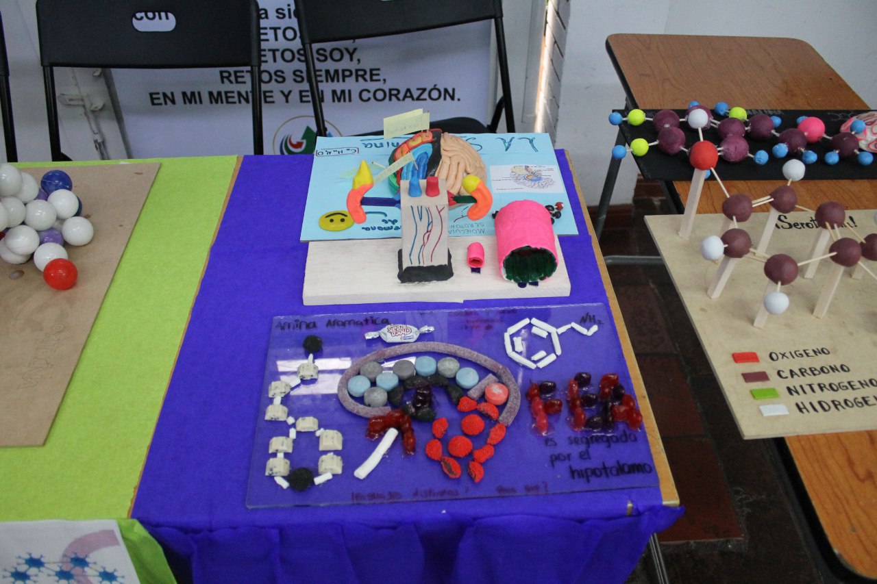 Feria del cerebro colegio retos