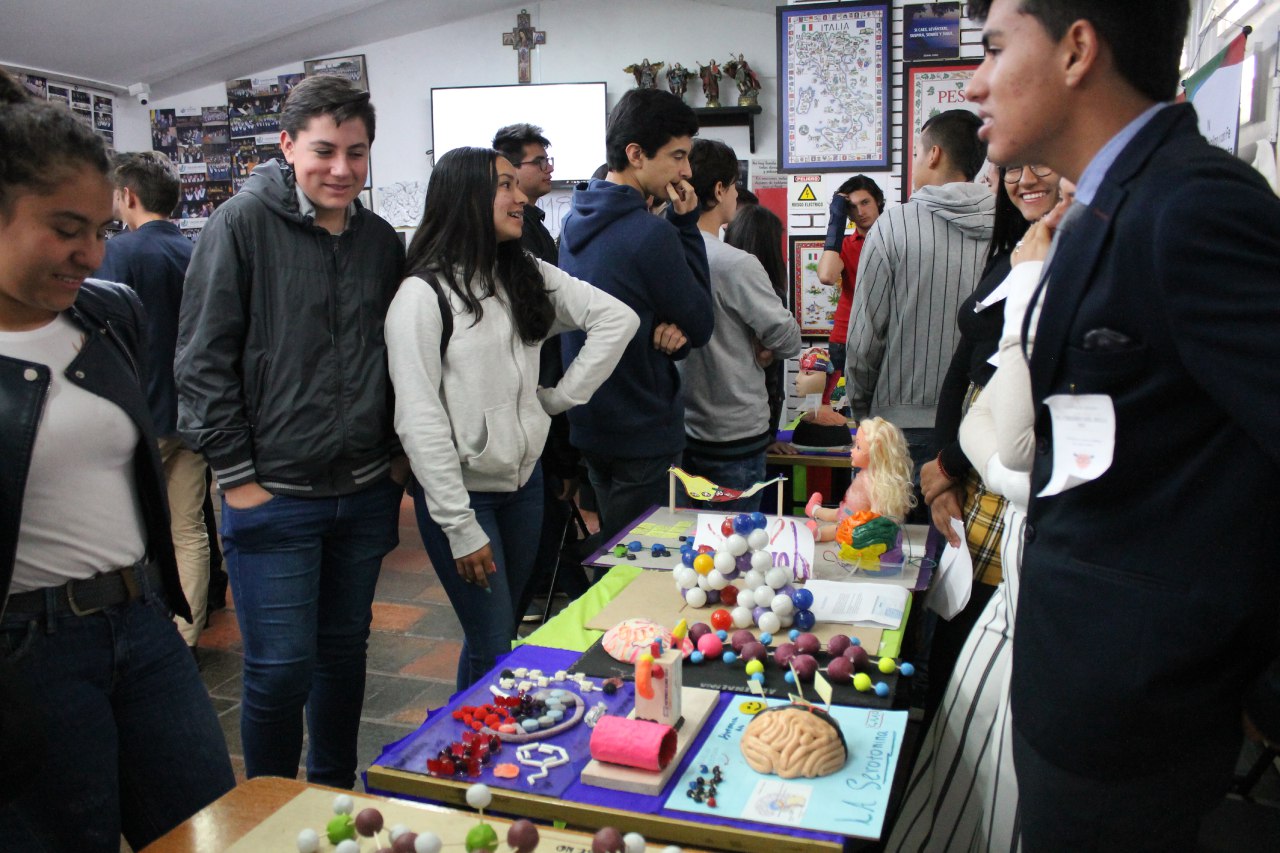 Feria del cerebro colegio retos