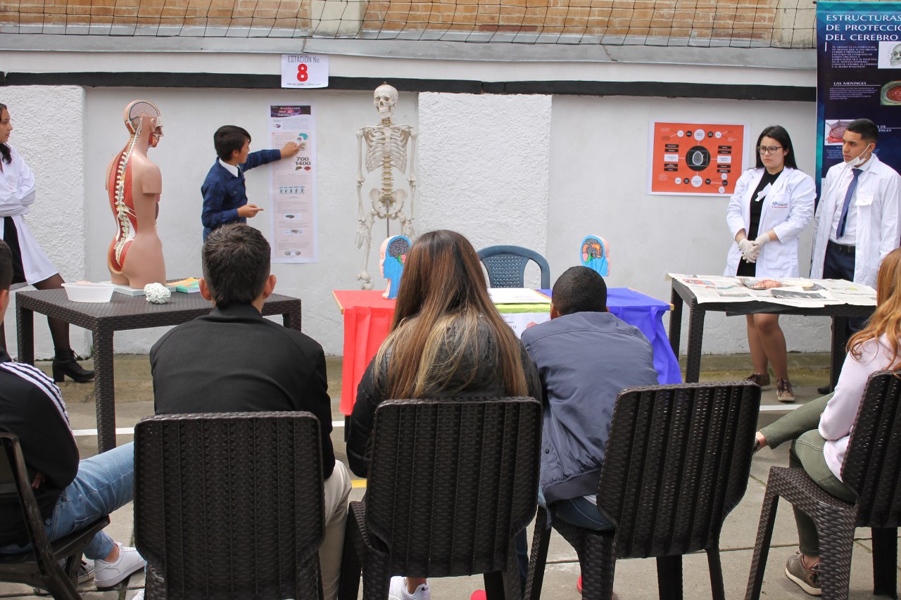 Feria del cerebro colegio retos