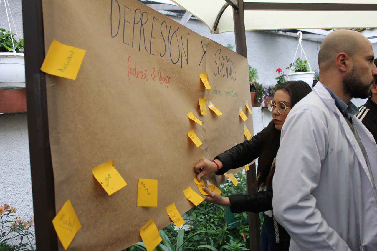 Feria del cerebro colegio retos